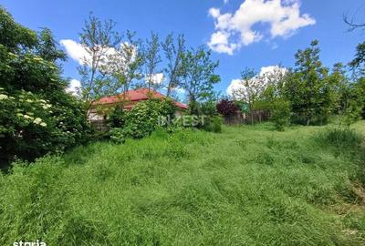 Spațiu comercial, în Rediu - 2