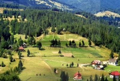 Teren Construcții intravilan de 250 mp, în Arieșeni - 1