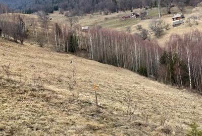 VÂNZARE TEREN CU POTENȚIAL DE DEZVOLTARE ÎN ZONA TURISTICĂ MAGURA-PESTERA - 13