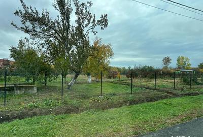 Vand casa la tara - 3