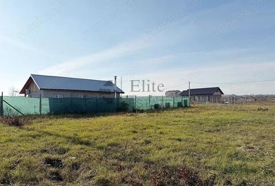 Teren intravilan 550 mp de vanzare in Paleu - 3