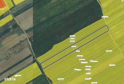 Teren de 5000 mp, în Central - 3