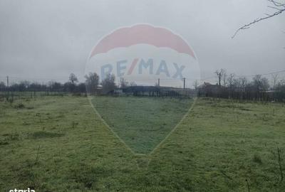 Spațiu comercial, în Cocora - 8