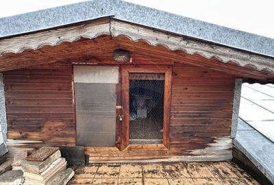 Spațiu comercial, în Colentina - 3