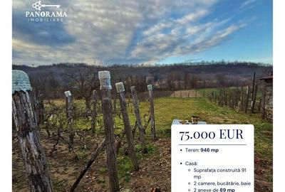 Casă cu 3 camere cu Teren 946 Mp în Vânători - 8