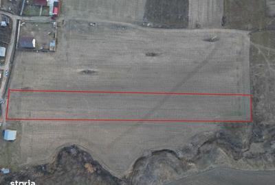 Teren de 5300 mp, în Răducăneni - 2