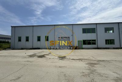 Hala si birouri zona Mogosoaia sos Odai - 4