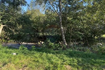 Casa de vacanta de vanzare pe Valea Lotrioarei - 8