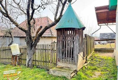 FILM! Oaza ta de liniste pe 0.5ha teren intravilan, Dalnic, Covasna - 31