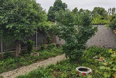Vand sau schimb casa d+p+e+m 200 mp+175 mp teren Baneasa zona Garlei, Regina Maria - 2