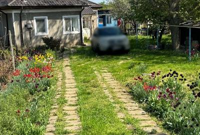 Casă cu 3 camere cu Teren 2110 Mp în Sud - 9