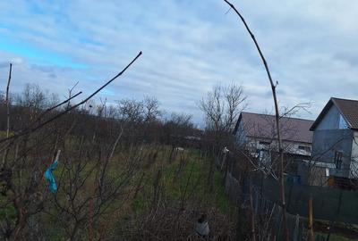 Casă în Central - 6