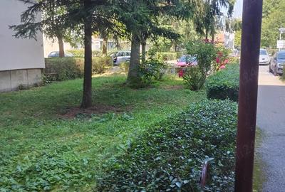 Ap 3 camere,etaj 3,zona centrala Deva - 9