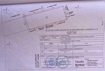 Teren intravilan 1000 mp - Domnesti - 2