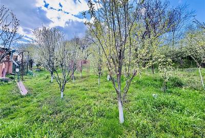 Casă individuală cu 2 camere cu Canalizare în Nucet - 13