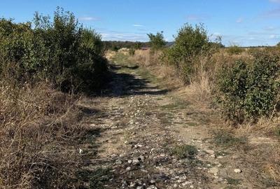 Teren de 1500 mp, în Săbăreni