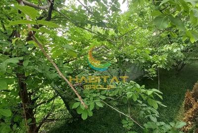 Apartament cu 3 camere în Ghencea - 12
