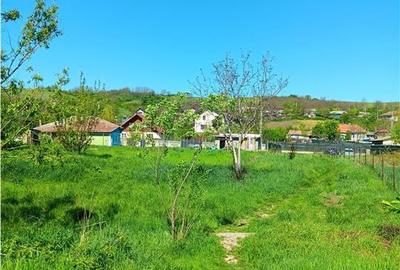 Teren Construcții intravilan de 1787 mp, în Miroslava - 6