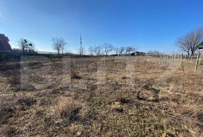 Teren de 840 mp in Paun, Ia?i Ideal pentru Construc?i - 2