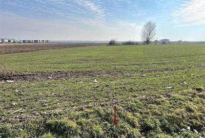 TEREN INTRAVILAN | DUBLU FRONT | NOJORID E671 (OradeaSalonta) | 5985 mp