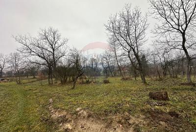 DE VANZARE - Teren strada Miron Costin - 3