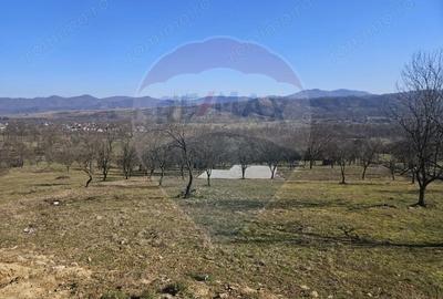 Teren de 4627 mp, în Giulești - 7