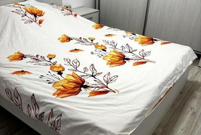 Apartament cu 2 camere în Elisabetin - 6