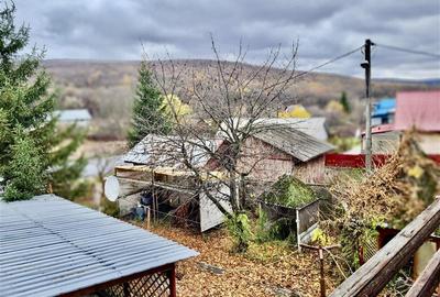 Casă cu 4 camere cu Teren 4500 Mp în Schitu Duca - 3