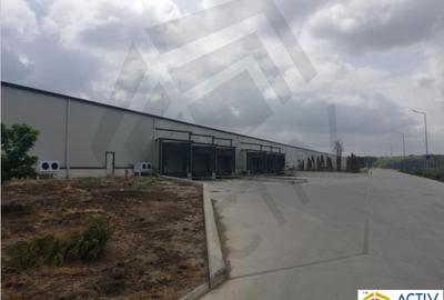 DEPOZIT TEMPERATURA CONTROLATA ALUTI & VALSI COLD STORAGE - 5