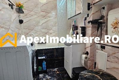Apartament cu 2 camere decomandat, mobilat în Doamna Ghica - 8