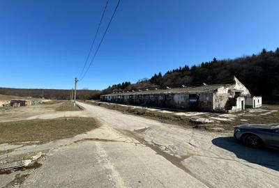 Oportunitate Codlea, zona Geamâna, De vânzare sau pentru Închiriere - 4