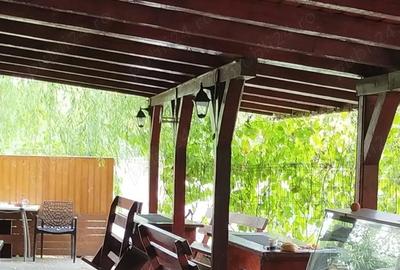 Spațiu comercial, de 280 mp, în Domnești - 2