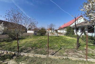 Casă cu 3 camere cu Teren 1500 Mp în Beregsău Mare - 1
