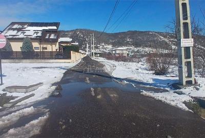 Teren de 6345 mp, în Aninoasa - 3