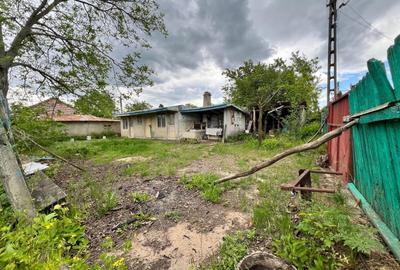 Casa + teren 4430 mp, vie si pomi fructiferi, 22 km de Tecuci - 18