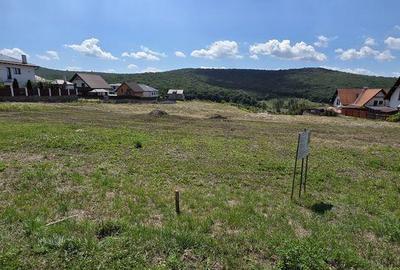 Teren de 700 mp, în Corunca