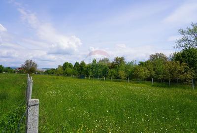 Teren 2,486mp Sighetu Marmatiei / Strada Constantin Dobrogeanu-Gherea - 5