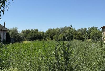 Teren de 2000 mp, în Hălchiu - 2