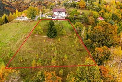 Film! Teren in peisaj mirific, Parcul Natural Piatra Craiului, Moieciu, Magura, - 1