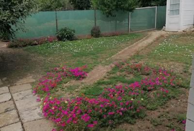 Casă cu 4 camere în Cosmești - 4