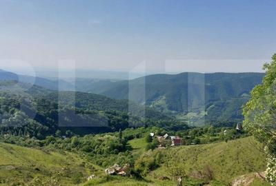 Teren extravilan pentru cabana, 3800 mp, zona-Ramet Transapuseana - 4