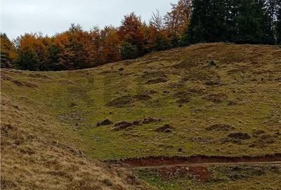 Teren de 2000 mp, în Curățele - 2