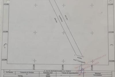 Teren de 5000 mp, în Ciorogârla - 4