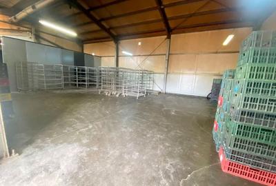 Hală de închiriat, centru Săcălaz – potrivită service auto, depozitare. - 6