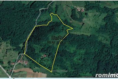 Teren de 69237 mp, în Criș - 5