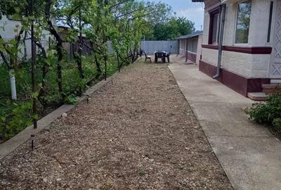 Vand casa cu dependin?e ?i loc de 850mp - 4