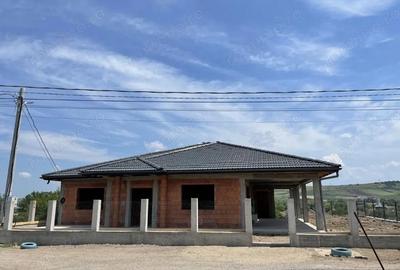 Casă cu 2 camere cu Teren 1800 Mp în Peștișu Mare - 8