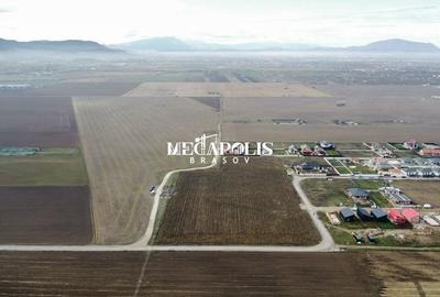 Vinzare TEREN HARMAN 20.754mp  pentru construcție - 4