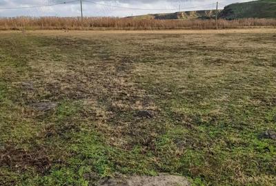 Casă cu 8 camere cu Teren 180000 Mp în Pietroiu - 6