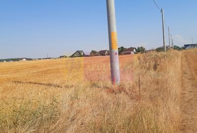 Teren pentru casa/case in Branesti pe strada Toporasi - 8